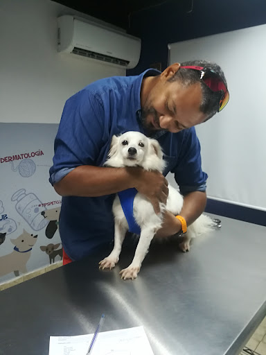 Pet Club Veterinaria