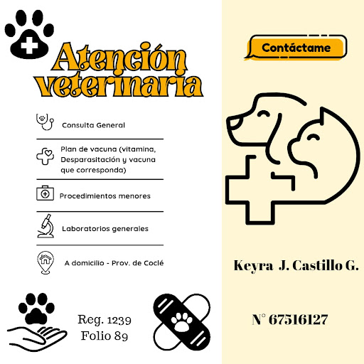 Servicios Veterinarios