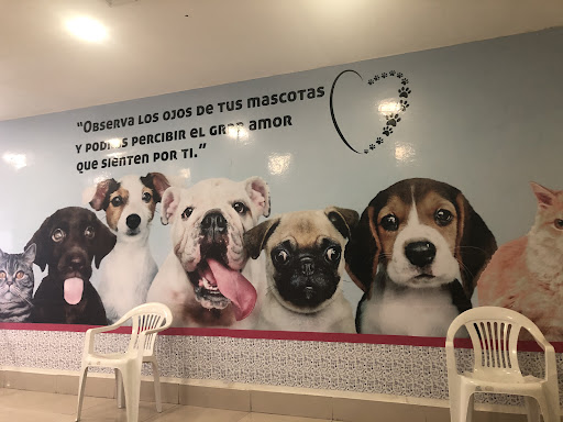 Clínica Veterinaria Happy Pets San Miguelito