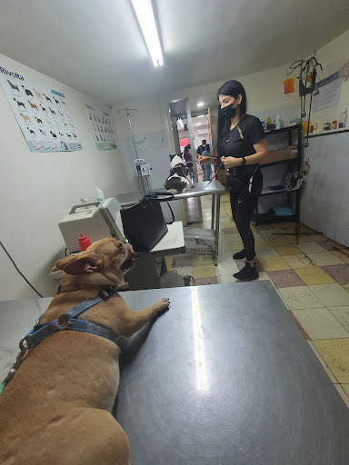Veterinaria La Fe