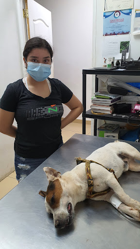 Veterinaria Azuero Pets