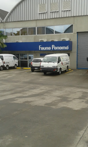 Fauna Panama