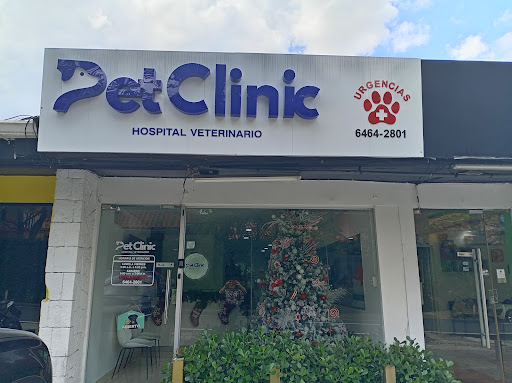 Pet Clinic Hospital Veterinario