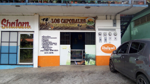Los Caporales