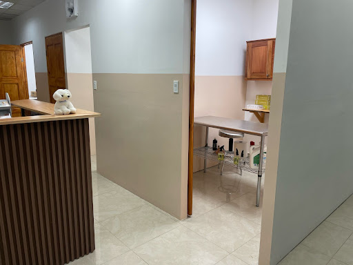 VETECHI Clinica Veterinaria Chiriquí
