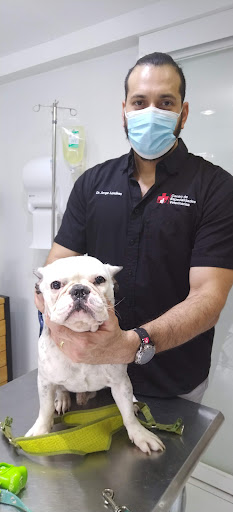 Centro de Especialidades Veterinarias CEVET