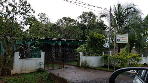 Clínica Veterinaria Mendoza