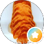 funtime channel