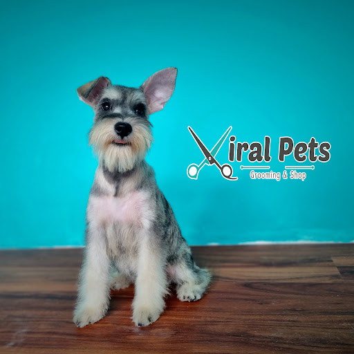 Viral Pets Chorrera / Peluquería Canina