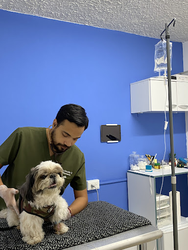 VitalVets Panamá