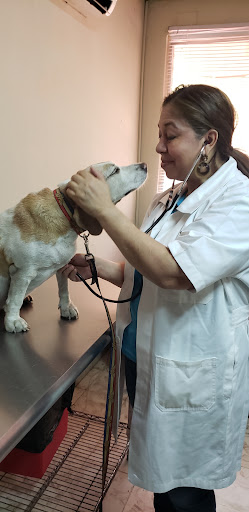 Mega Vet