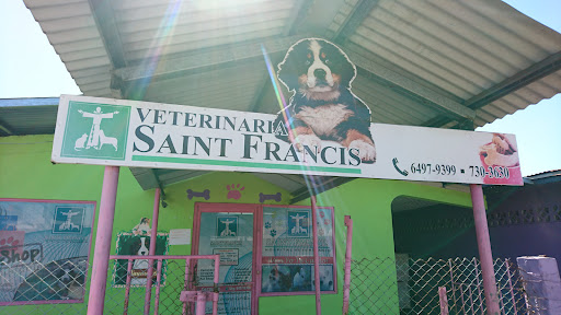 SAINT FRANCIS VET