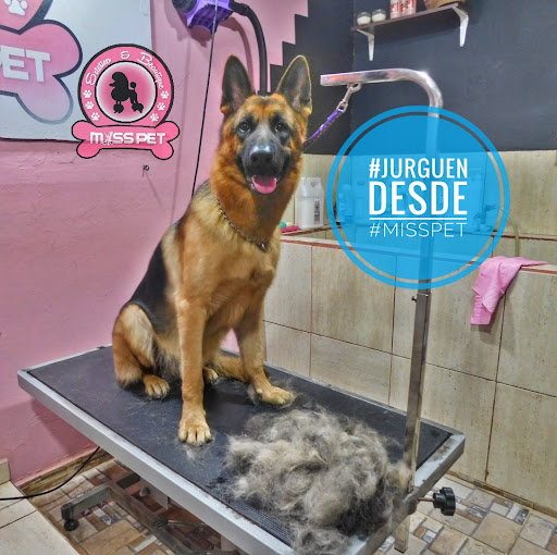 Clínica Veterinaria Miss Pet