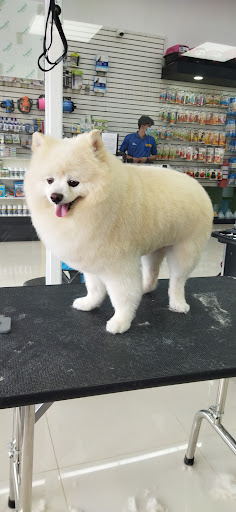 American Pets Coronado