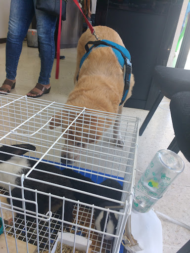 Centro Veterinario Panama