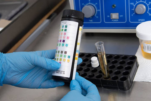 Laboratorio Clínico y Microbiología Alfa