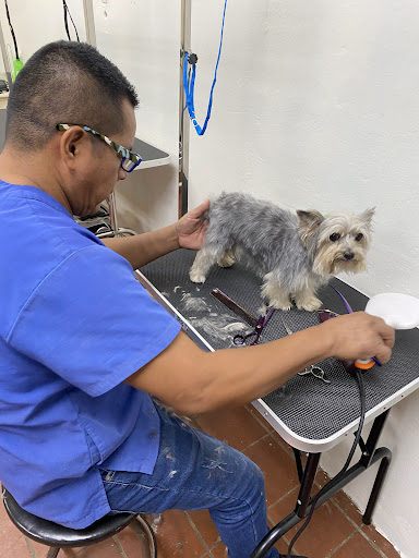 Petland San Antonio
