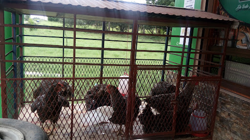 Agro-Ferretería El Varón