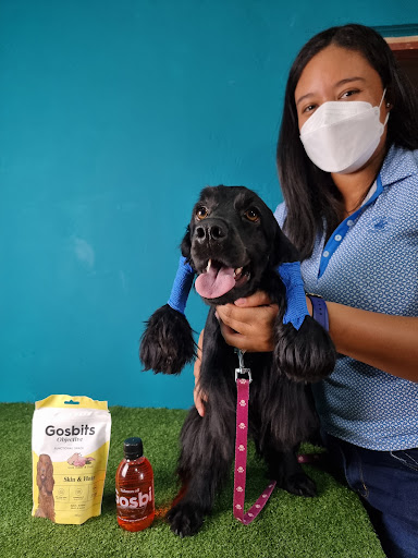 Grooming Pet Care