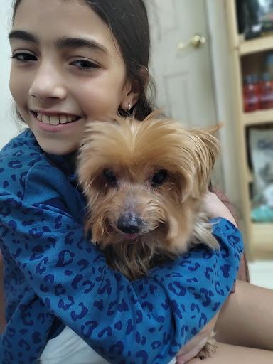 MiVet Clínica Veterinaria