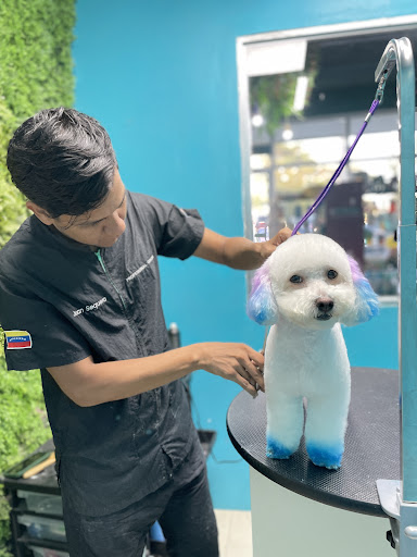 Veterinaria Conie Pet Shop
