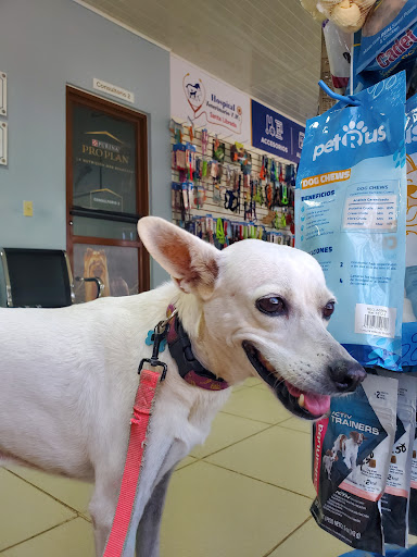 Hospital Veterinario V.M Santa Librada