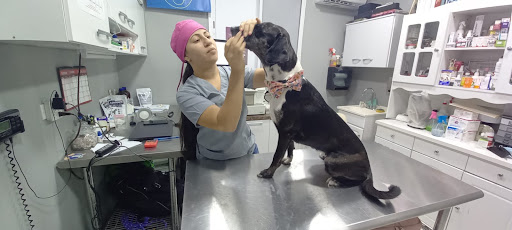 Pet Care & Control Services (PCCS)