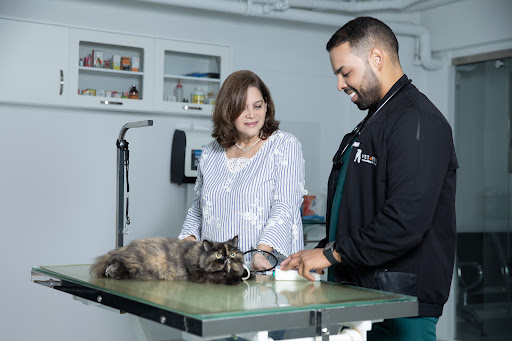 Vet 4 Pets