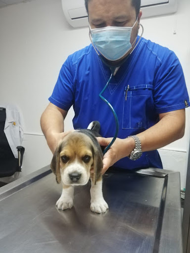 UNIVET Unidad Médica Veterinaria