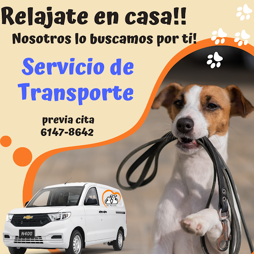 Clinica Veterinaria Mi Mascota