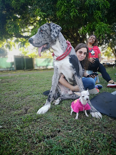 Clinica Veterinaria Dra. Ximena A. Hales V.