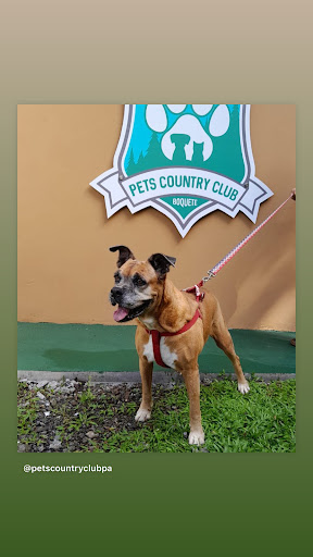 Pets Country Club