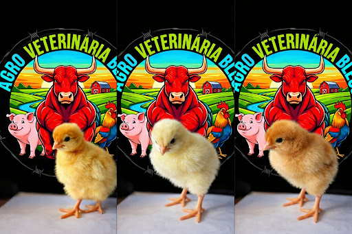 Agropecuaria Agro Veterinaria Bless