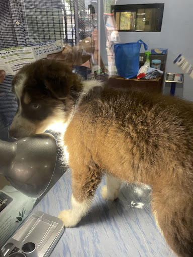 Agropecuaria y Farmacia Veterinaria 3R
