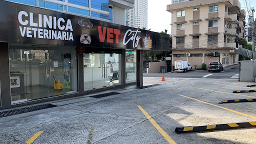 Vet City | Clínica Veterinaria