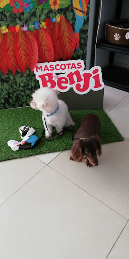 Clínica Veterinaria Benji Coronado