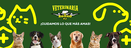 El Rodeo #2