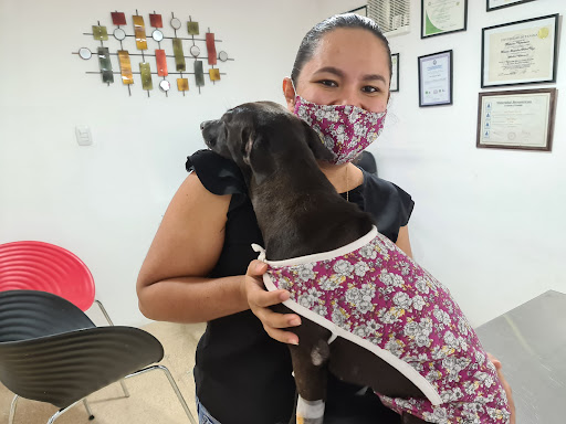 Clinica Veterinaria Dra. Ximena A. Hales V.