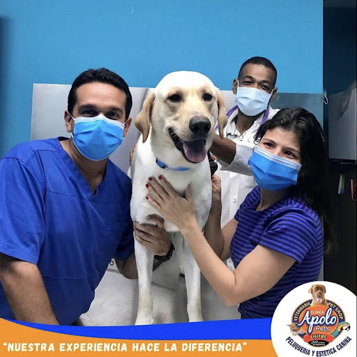 Hospital Veterinario Apolo Pets
