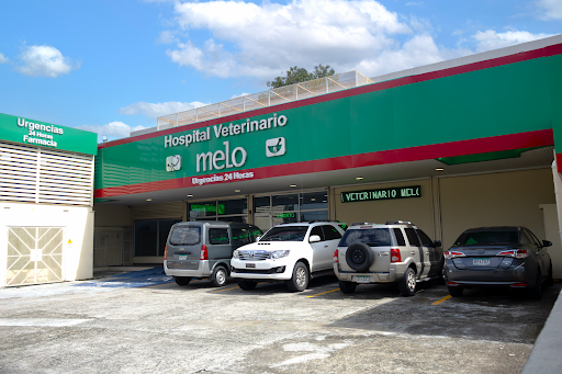 Hospital Veterinario Melo - Parque Lefevre (24 horas)