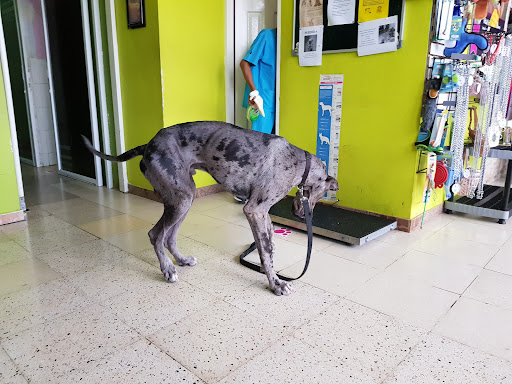 Hospital Veterinario Fénix