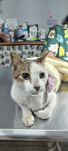 Veterinaria Ohana Pets