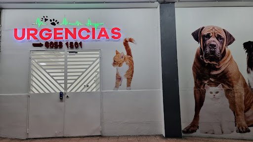 (Grupo Felino Canino)