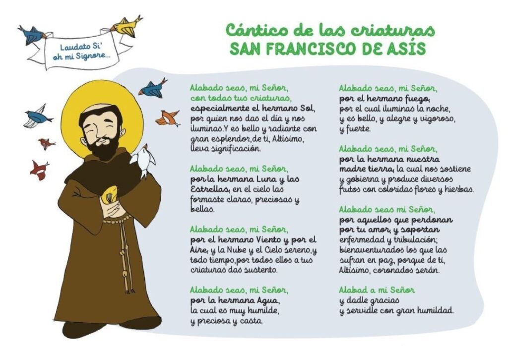 Opinión Fundación San Francisco de Asís: Análisis y Experiencias