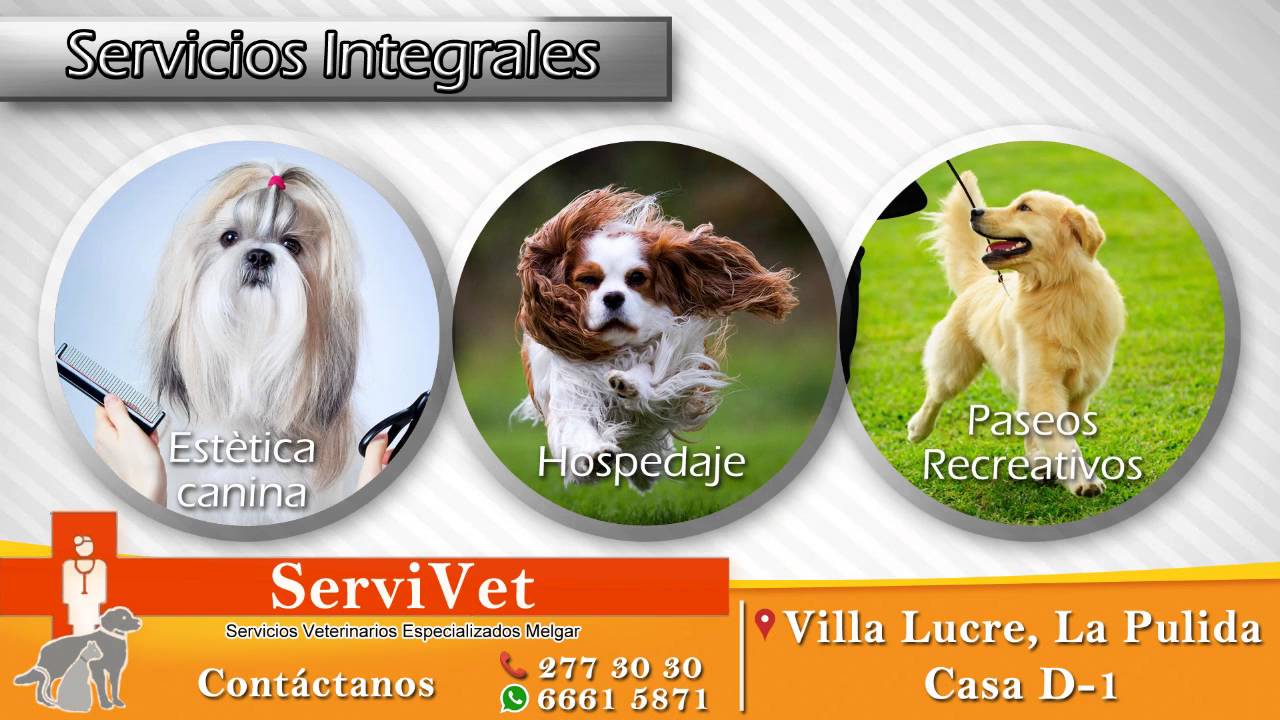 Opinión Servicios Veterinarios Especializados Melgar SERVIVET - Experiencia del Cliente