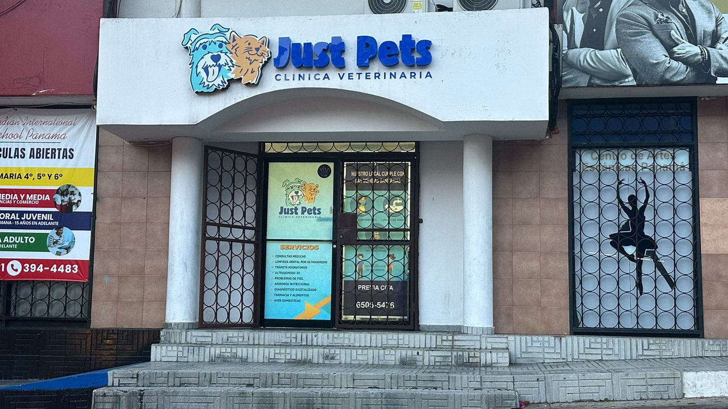 Veterinarias en Ciudad de Panamá: Las Mejores Clínicas Recomendadas 2024