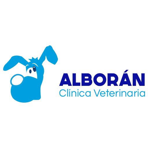 Las mejores Veterinarias en Aguadulce 1 Las Mejores Veterinarias en Aguadulce: Guía 2024