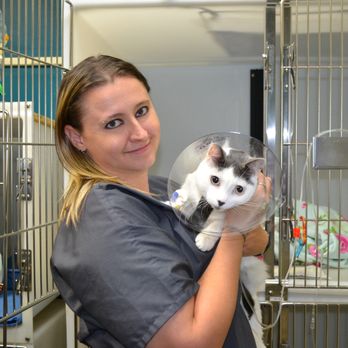 Opinión de SAINT FRANCIS VET: reseña experta sobre servicios veterinarios
