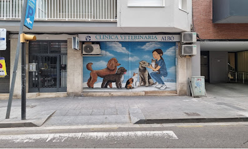 Las Mejores Veterinarias en Las S: Guía 2024
