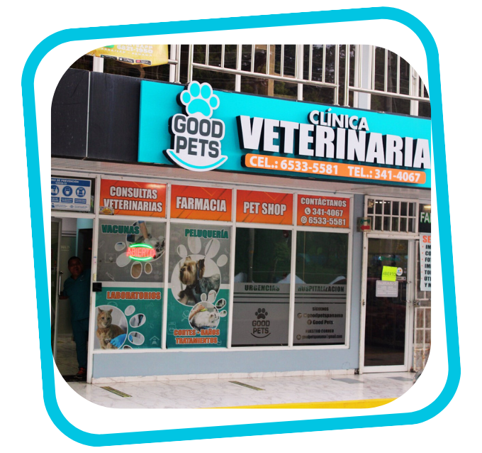 Opinión Clínica Veterinaria Arraiján: ¡Reseñas y Experiencias Reales!